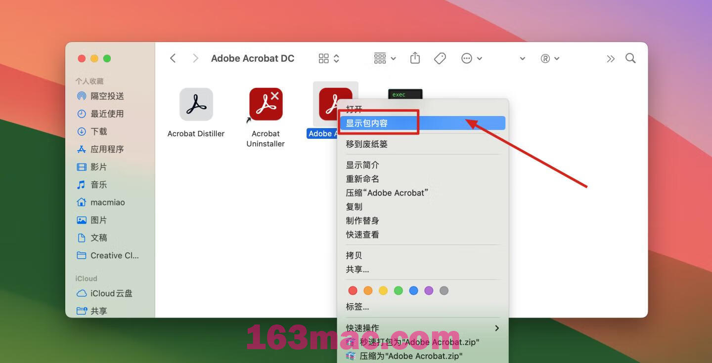 Adobe Acrobat Pro DC for Mac v2023.003.20244 中文激活版 PDF编辑器-2