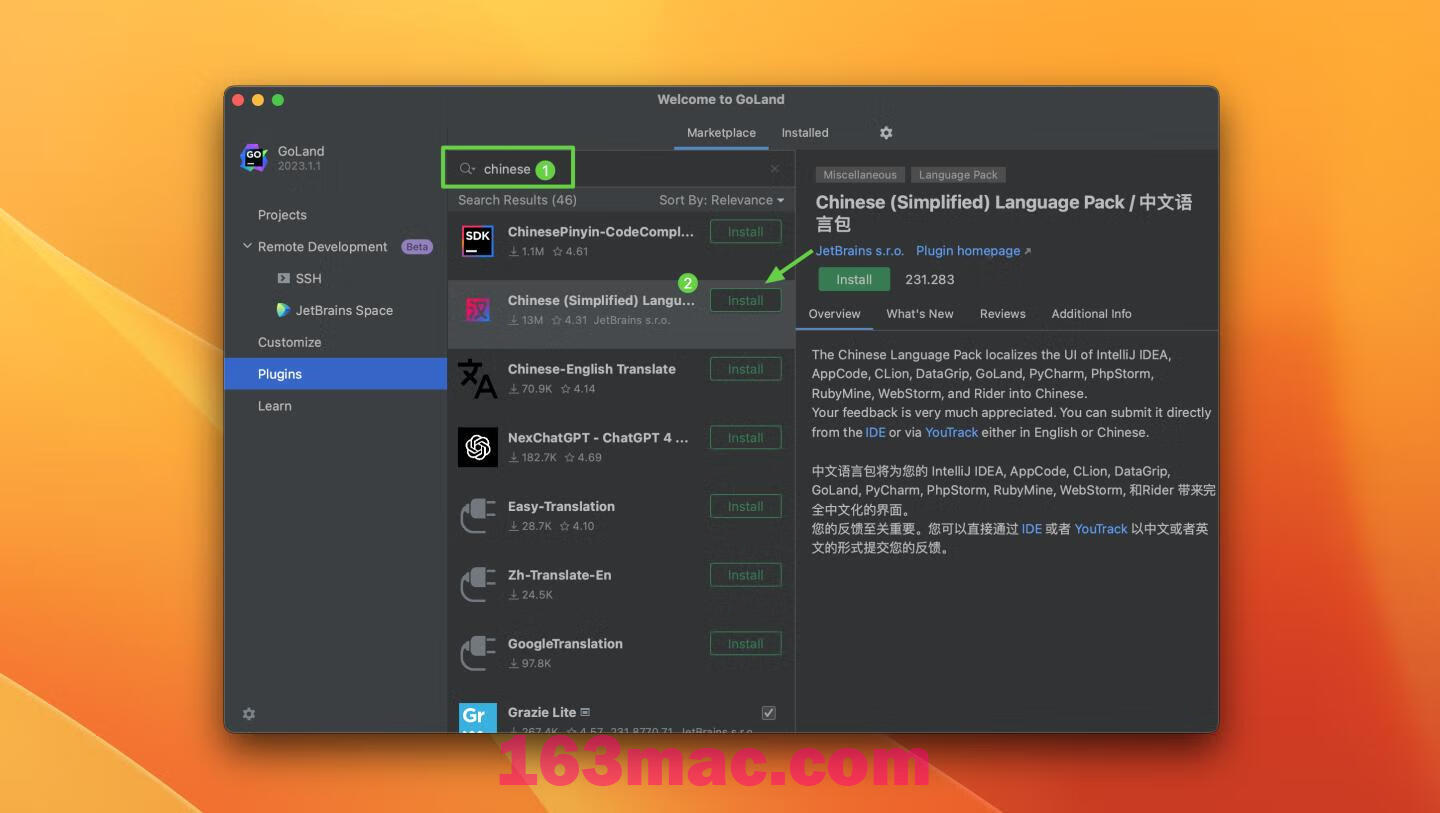 GoLand 2023 for mac v2023.1.1 中文激活版 GO语言集成开发工具环境GO(intel/M1均可)-3