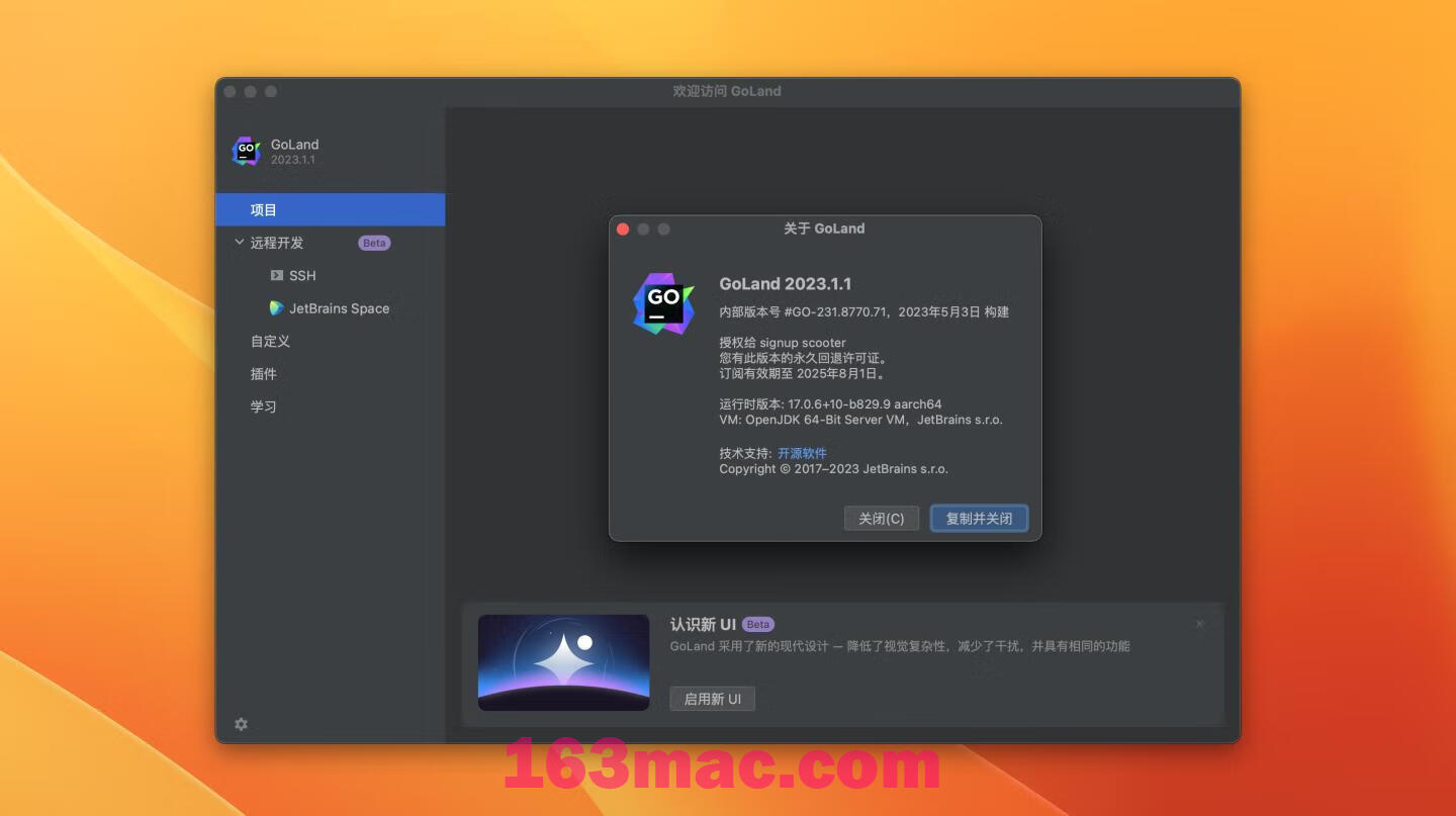 GoLand 2023 for mac v2023.1.1 中文激活版 GO语言集成开发工具环境GO(intel/M1均可)-5