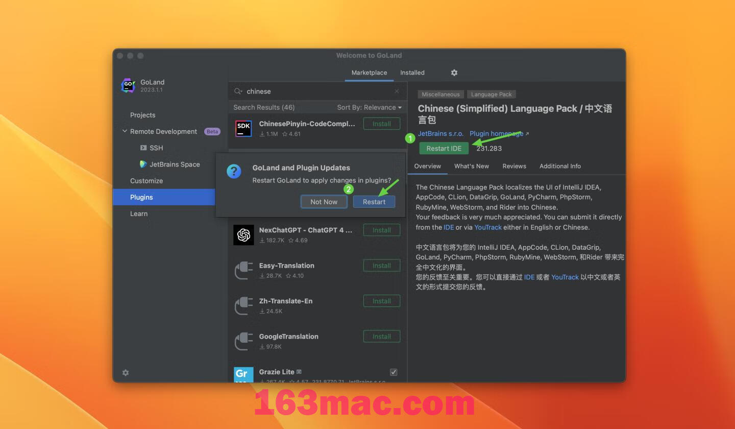 GoLand 2023 for mac v2023.1.1 中文激活版 GO语言集成开发工具环境GO(intel/M1均可)-4