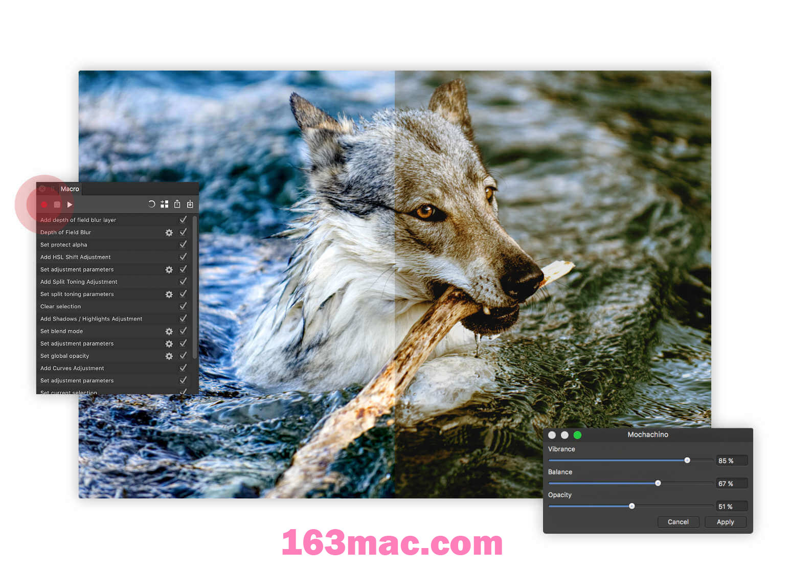 Affinity Photo 2 for Mac(专业修图软件) v2.2.0正式免激活版-10