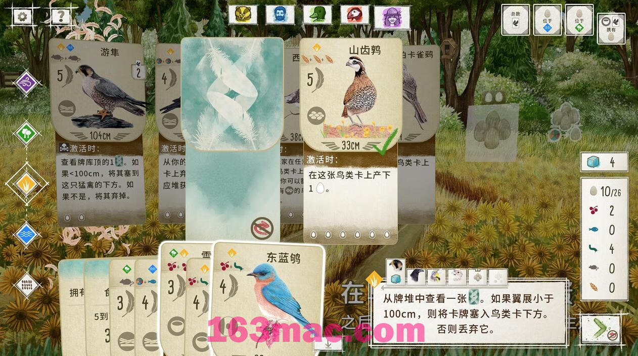 展翅翱翔 WINGSPAN for Mac v150 中文原生版附DLC-8