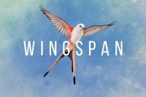 展翅翱翔 WINGSPAN for Mac v1.5.168 中文原生版附DLC