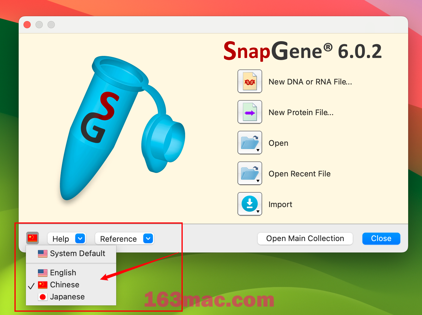 SnapGene 6 for Mac v6.0.2 分子生物学软件 激活版-1