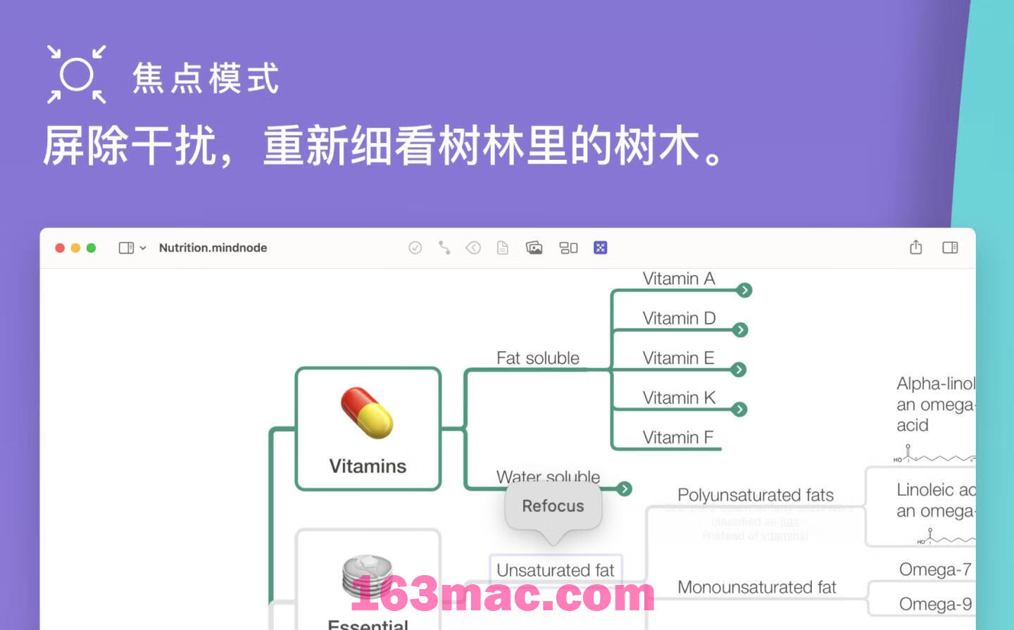 MindNode for Mac v2023.3.1 思维导图软件 中文激活版-4