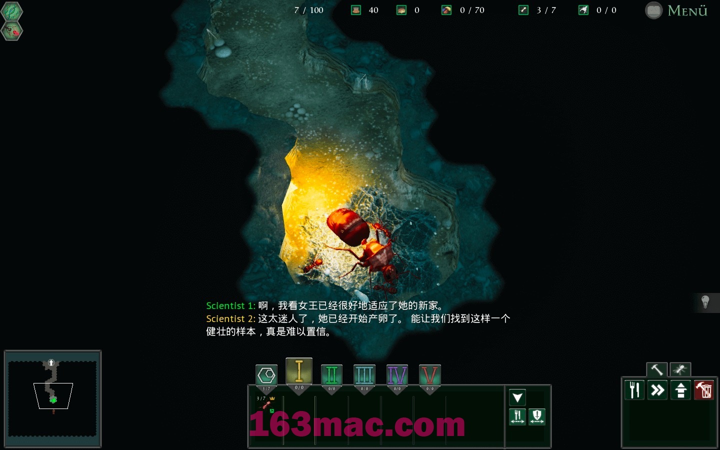 地下蚁国 Empires of the Undergrowth for Mac v0.30111(58592) 中文原生版-2