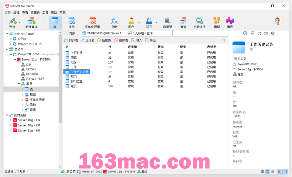 👍 Navicat for Oracle for Mac v16.3.5 中文激活版 Oracle数据库管理和开发工具-1