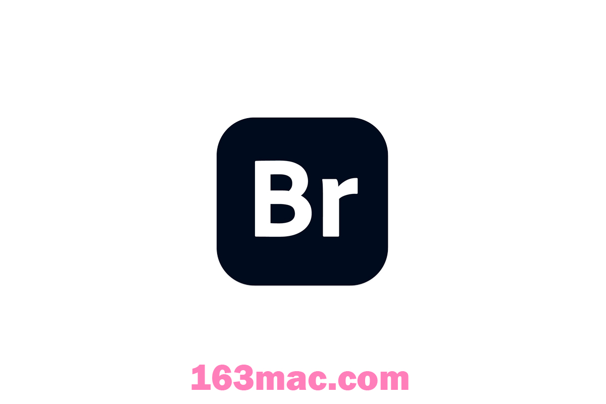 Adobe Bridge 2024 for Mac v14.1 中文激活版 文件管理软件 (br 2024）