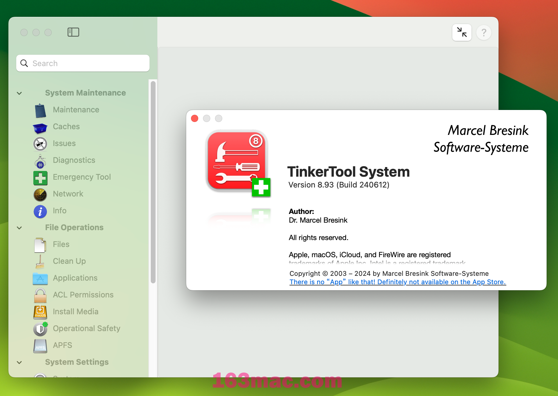 TinkerTool System for Mac v8.93 Mac系统设置维护工具 激活版-1