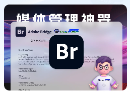 「📃Br2024 v14.1 含安装神器」Adobe Bridge 2024 v14.1 中文版 资源下载 温馨提示：