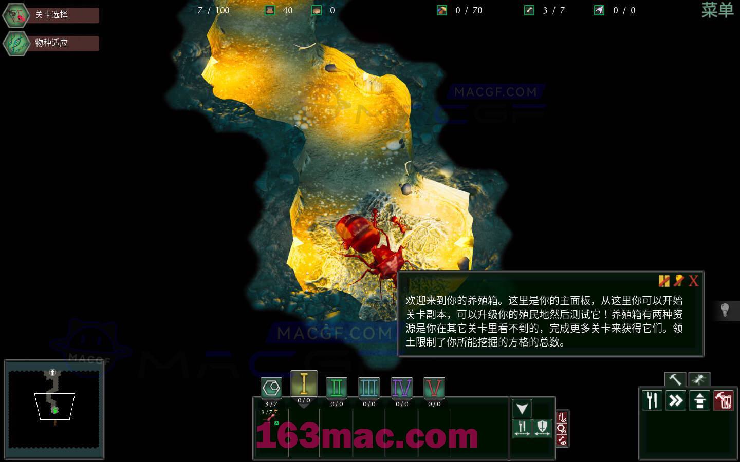 图片[2] - 「地下蚁国」Empires of the Undergrowth v0.320034 中文原生版 - macGF