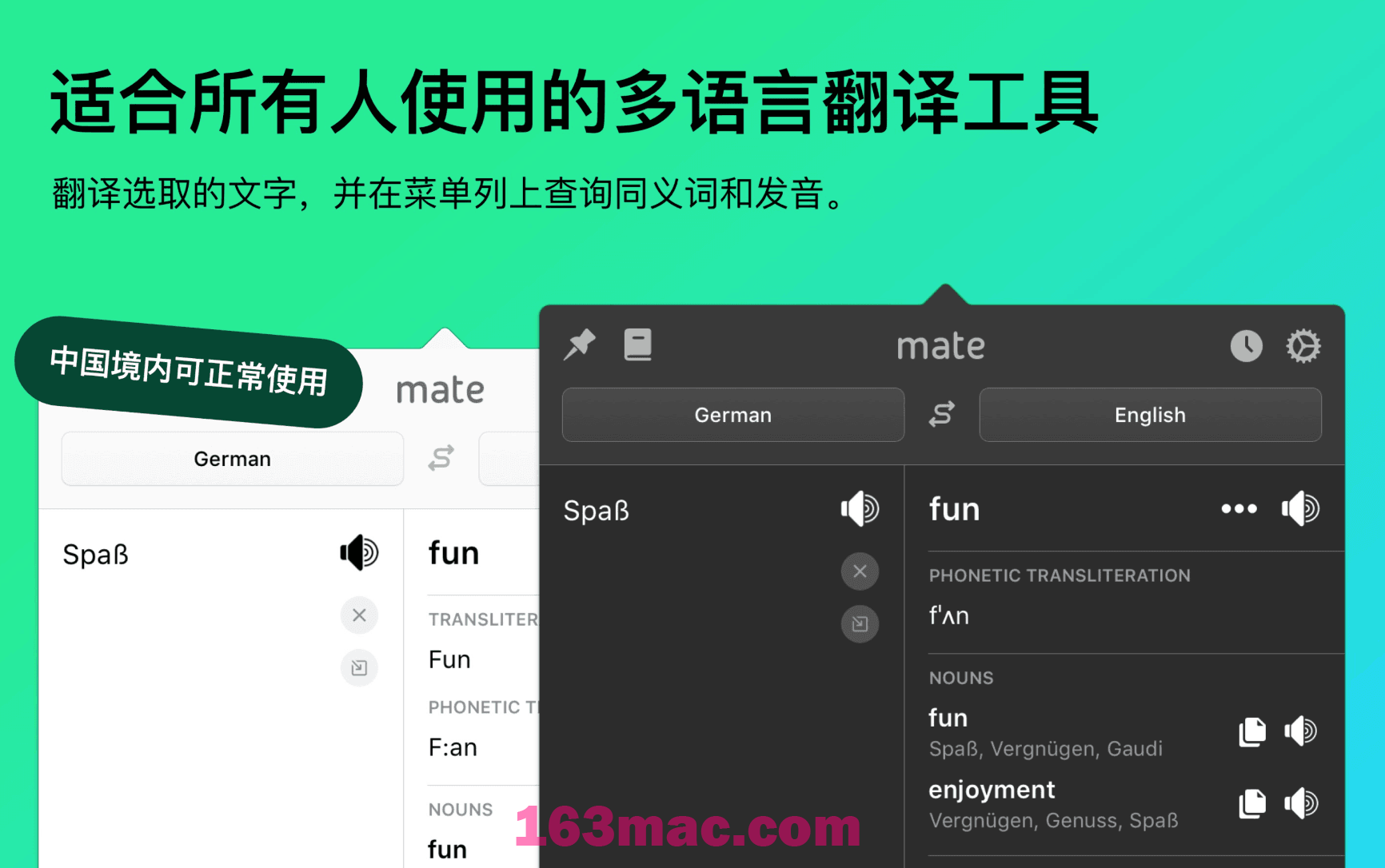 Mate Translate 翻译工具 第1张