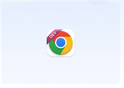 「谷歌浏览器开发者版本」Google Chrome v121.0.6129.0 官方开发者版